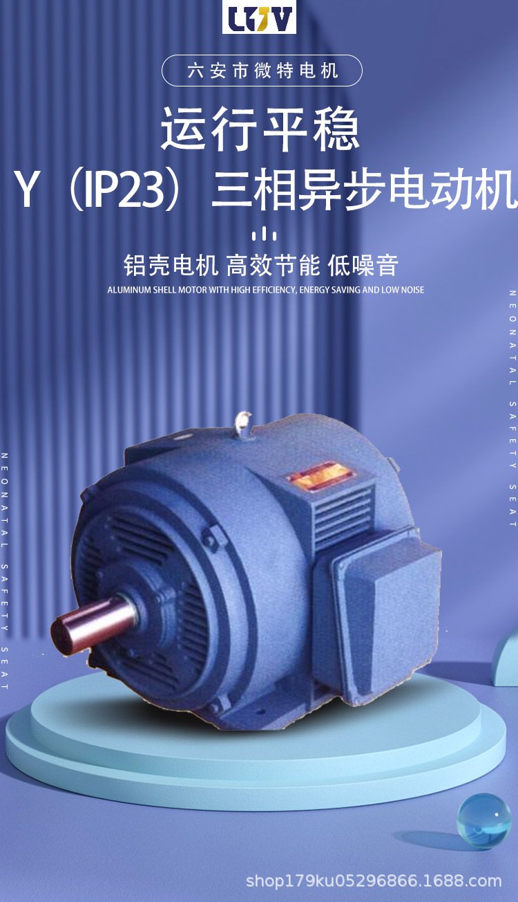 六安微特电机Y(IP23)三相异步电动机全面解析