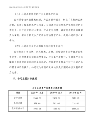 滨州微特电机项目可行性研究报告